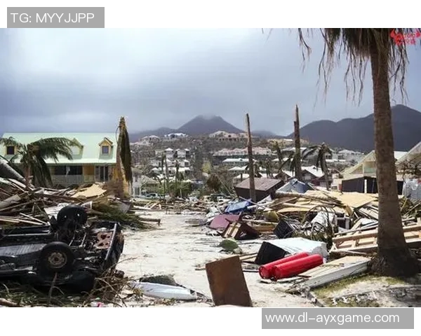 飓风来袭中的防卫与正义之辩：人性与自然的较量与思考