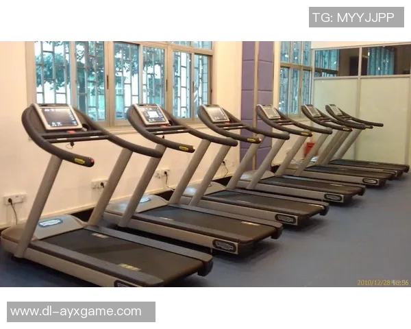 北京圣兴健身器材有限公司助力健康生活打造专业健身器材新选择